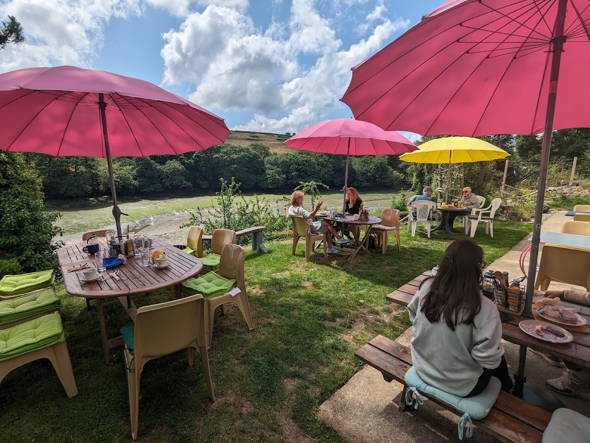 Secret Cupboard & Tea Garden