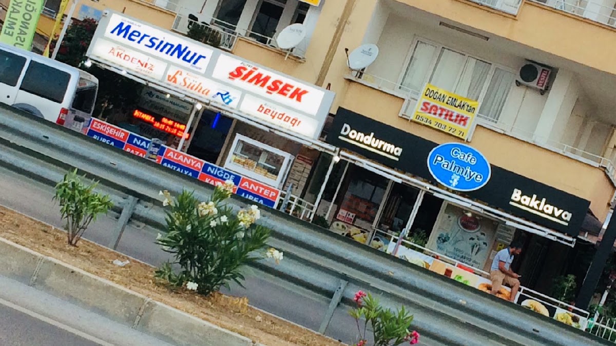 Cafe Palmiye dondurma ve seyahat acentası