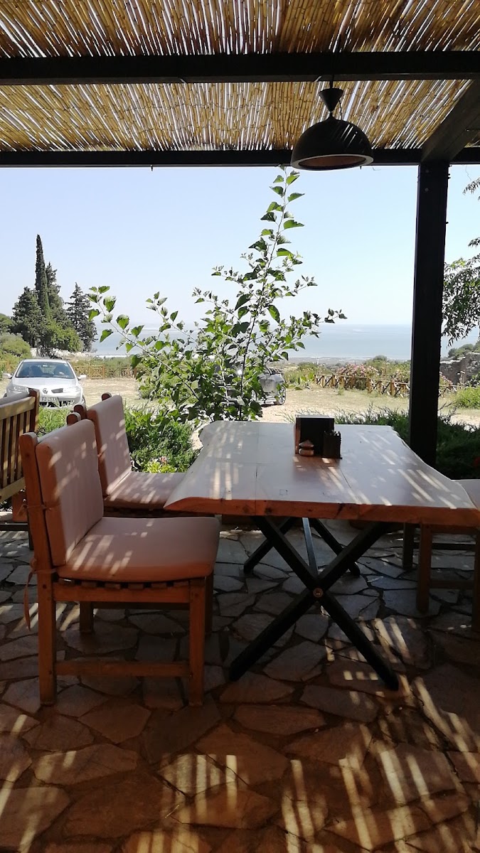 MÜZE KAFE