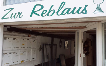 Weingarten zur Reblaus