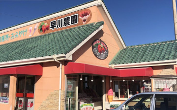 Hayakawa Orchards