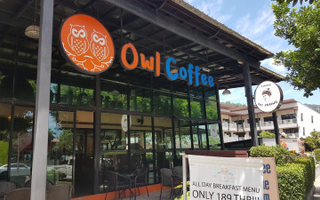 Doi Chaang Coffee