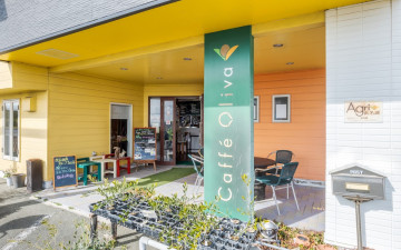 Caffè Oliva