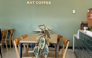 Ant Coffee
