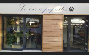 Bar à papattes(bar à chats)