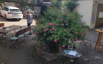 Café Szenestübla