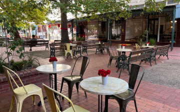 Alleycat Cafe