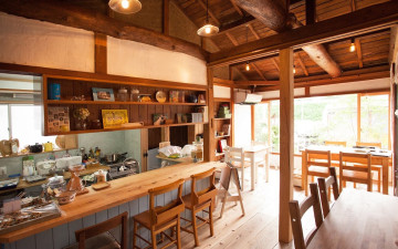 Café A.oryzae