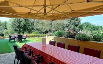 Debs Tea Garden