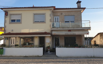 Estrela da areia