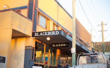 Blackbird Thirroul
