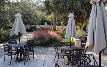 Blue Palmetto Cafe