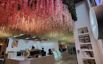 Wiltlover Cafe