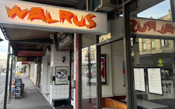 Walrus
