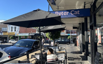 Peter Cat