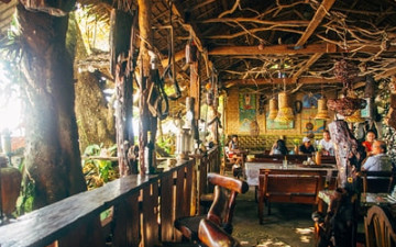 The BeeHive Driftwood Cafe