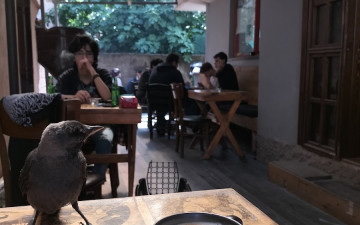 Odin Cafe