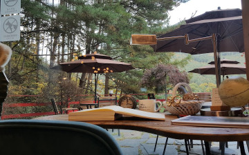 Cafe Aramis
