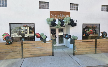 Catnip Café and Lounge