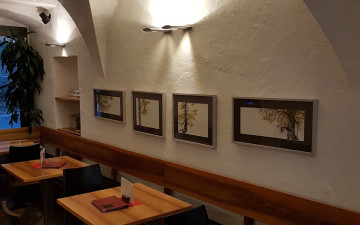Café Roth