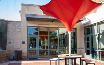 The Little Lemon at the Library